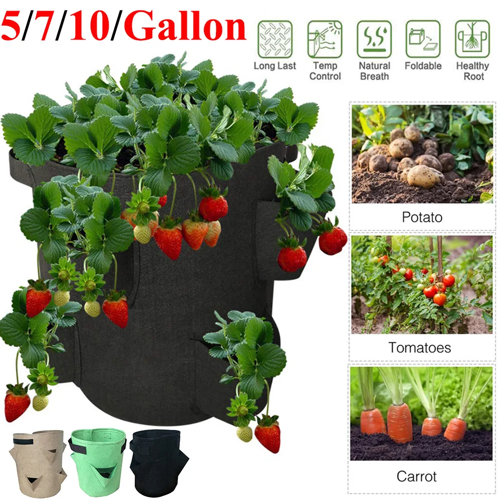 Flower Plant Grow Bag Strawberry Grow Container Bag Vegetable Gardening