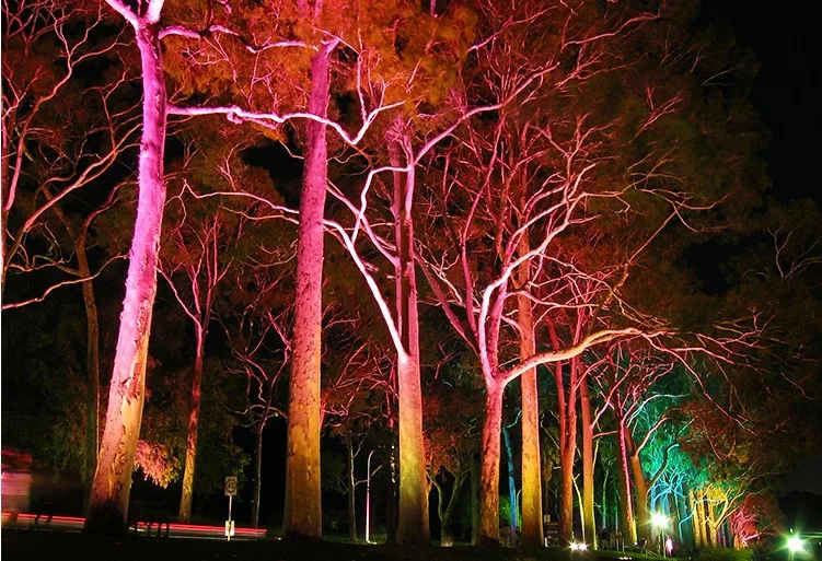 10380924385_2019850902