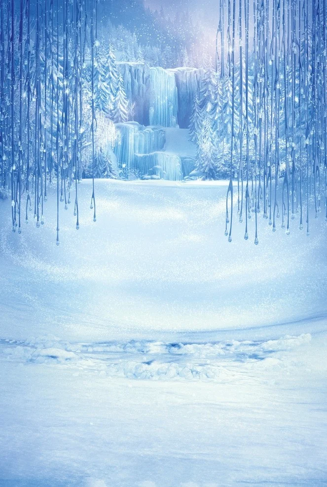 

SHUOZHIKE Vinyl Custom Photography Backdrops Prop Winter theme Photo Studio Background SD19511-9124