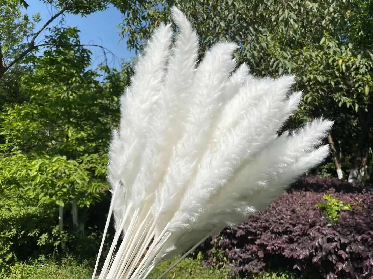 15Pcs Dried Reed Flower Arrangement Natural Pampas Grass For  Modern Home Decoration Party Backdrops Wedding Supplies