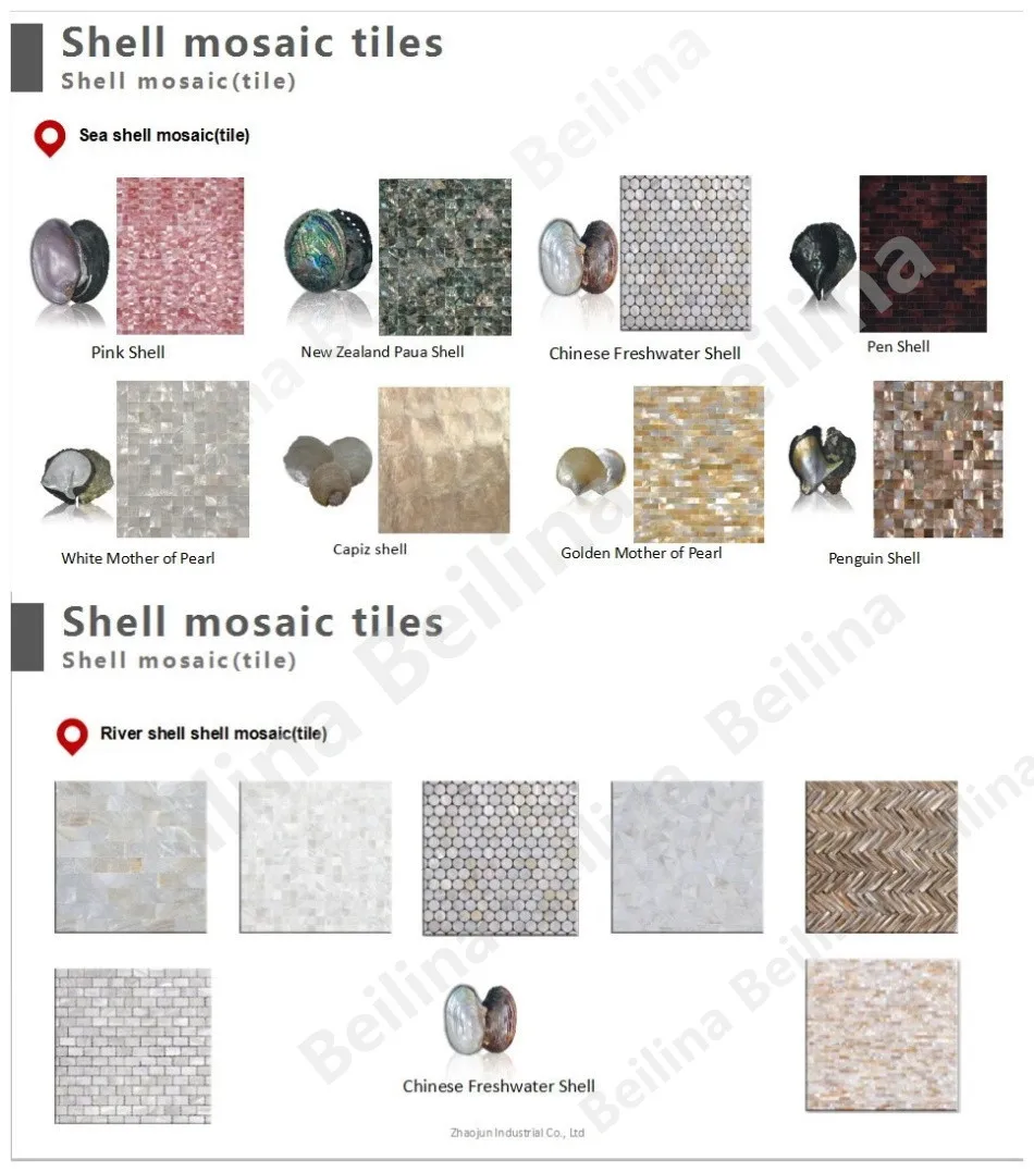 Shell fragment. Shell fragment