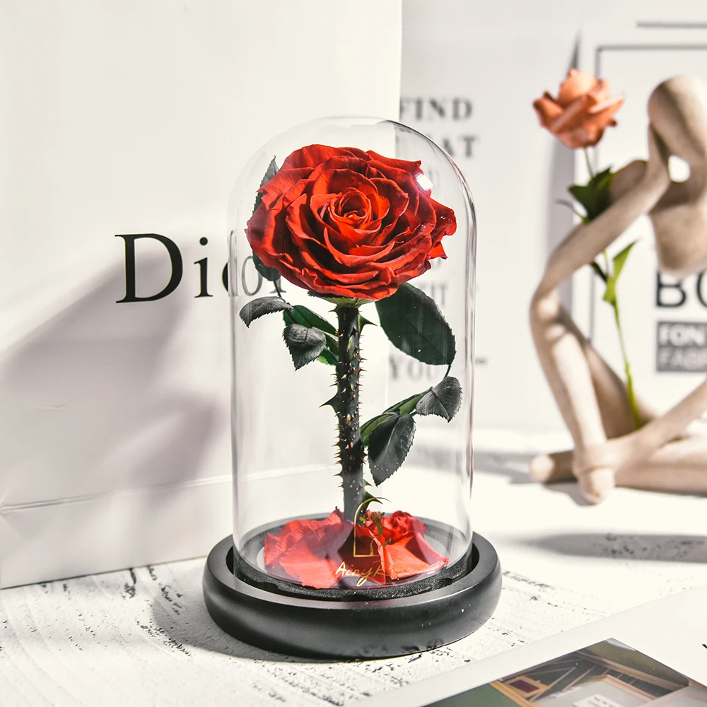 

The Beauty and Beast Preserved Roses Forever Eternal Flowers Roses In Glass With LED Christmas Valentine Wedding Gifts
