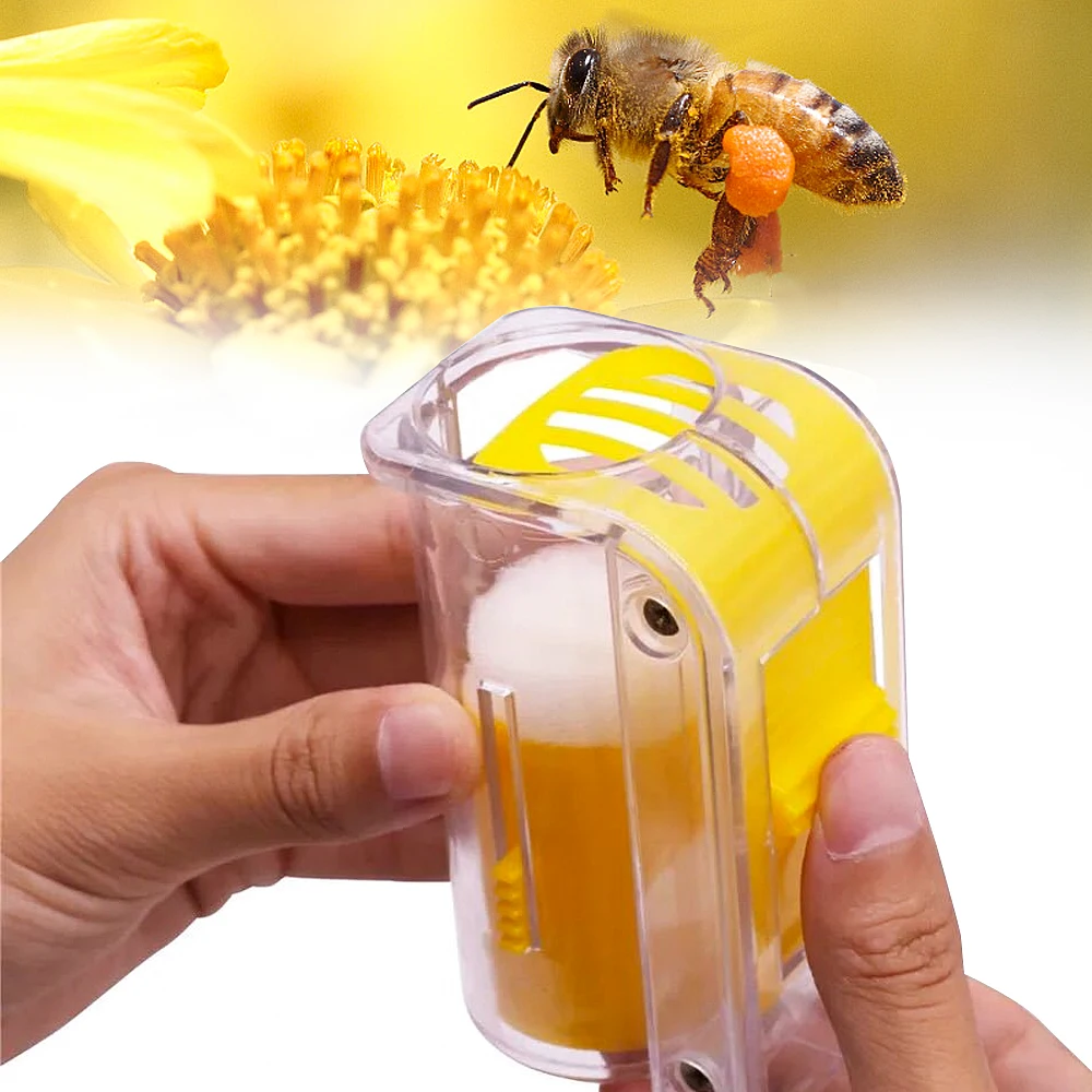 Bee-Mark-Cage Marker-Bottle Beekeeping-Supplies Bee-Queen Plastic Plush-Garden with Plunger