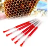 Beekeeping 5 Type of Bee Queen Larva Retractable Moving Insect Worm Needle Beehive Apiculture Rearing Grafting Transferring Tool 3