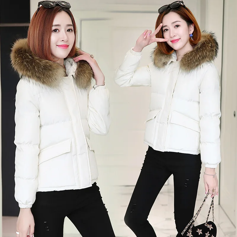

2019 Winter Cotton-padded Clothes/Cotton Coat Elegant Cool Versatile Slim Fit Slimming Comfortable Simple Fashion City qcc