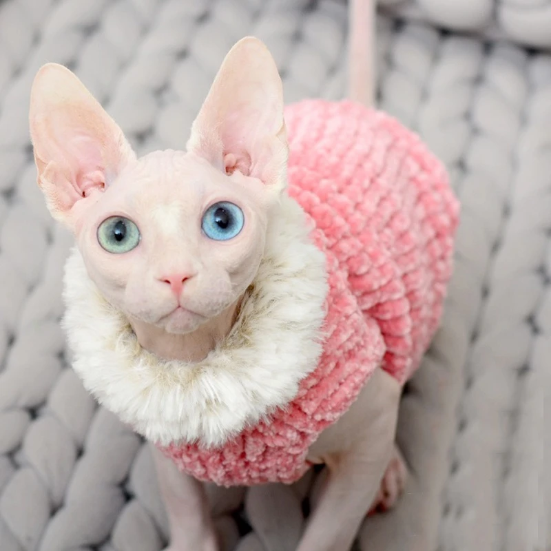 Descubrir Estadio presentación Sphynx ropa cálida para gatos, suéter de punto hecho a mano, Sudadera con  capucha para gatos, ropa para gatitos|Suéteres de perro| - AliExpress