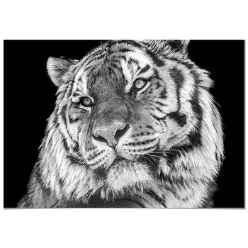 

Panorama Canvas Picture Tiger - Printed on Canvas - Animals Wall Art - Animal Print Pictures - Modern Art Print for Walls - Animal Photos - Home Decoration