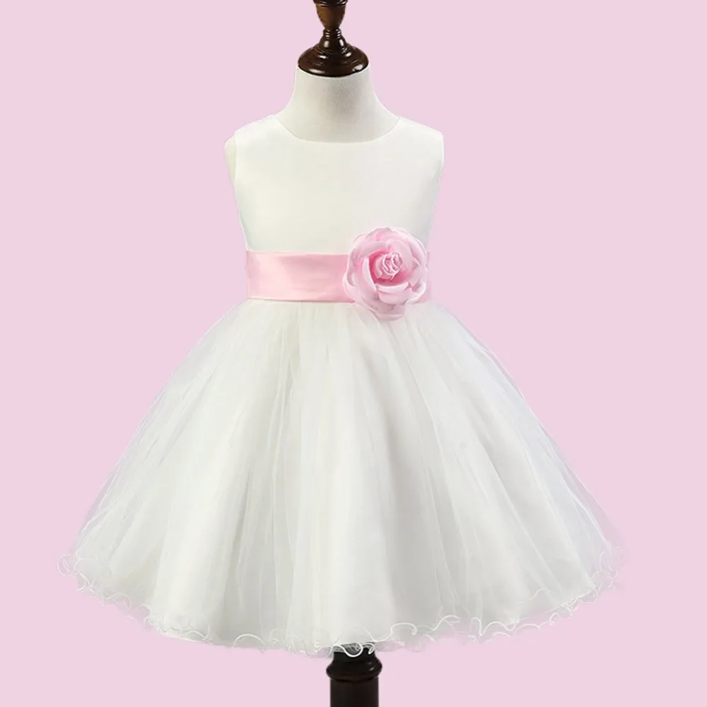 2728884933_1012239195