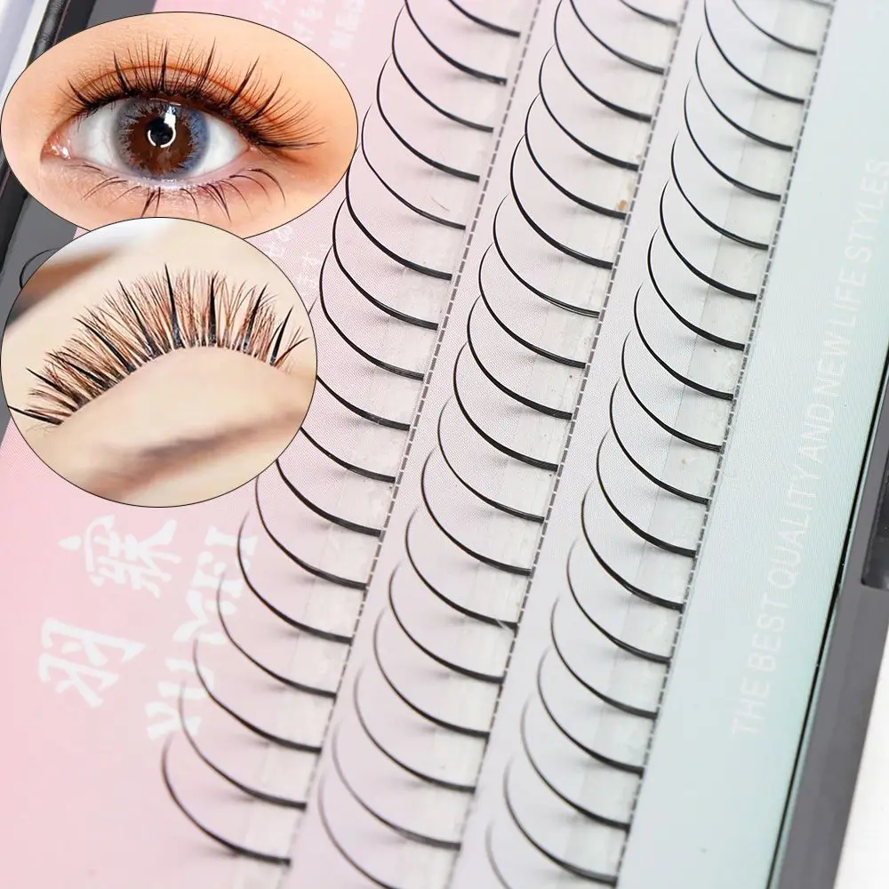 A Shape 60pcs/box Professional Individual Lashes Cluster Vivid