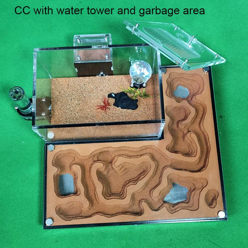 Ant Castle CC plus