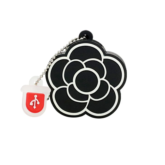 do they sell flash drives at cvs