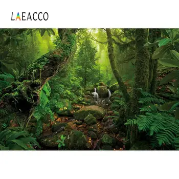 

Laeacco Green Forest Backgrounds For Photography Old Tee Moss Stone Creek Natural Scenic Photography Backdrop For Photo Studio