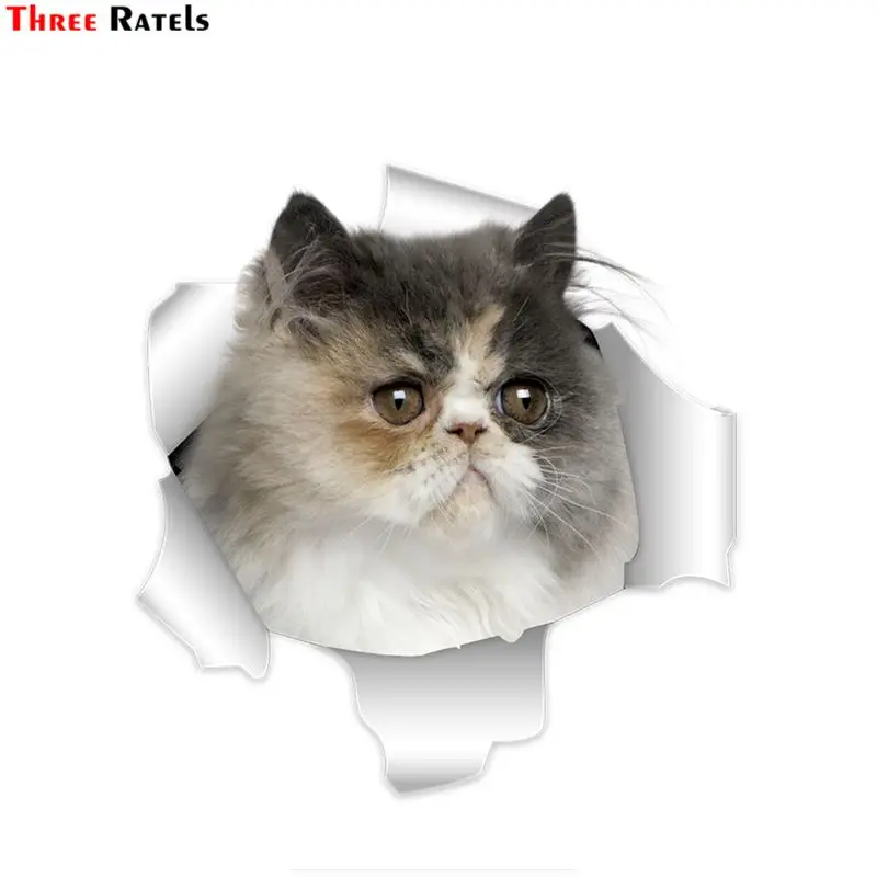 

Три Ratels QM-1 милые 3D персидская кошка автомобиля Стикеры s Для Amg Стикеры для Dacia