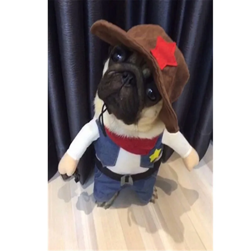 11155586832_1748840702.400x400