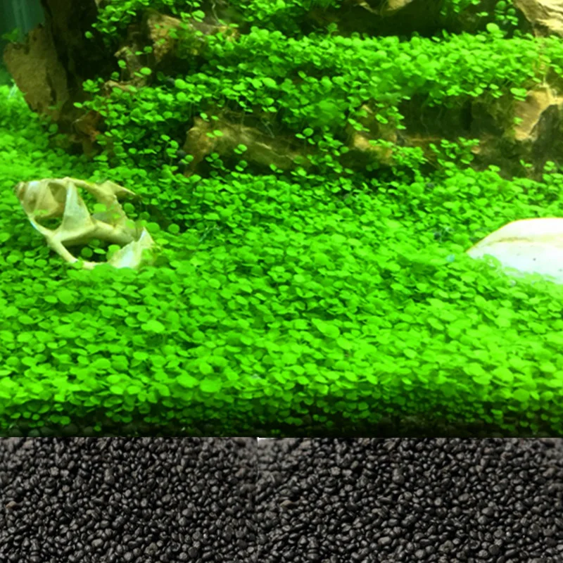 500G Aquarium Plant Soil Waterweeds Mud Water Grass Cup Clay Nutrient Fertilizer For Fish Tank Decoration Substrate Accessories