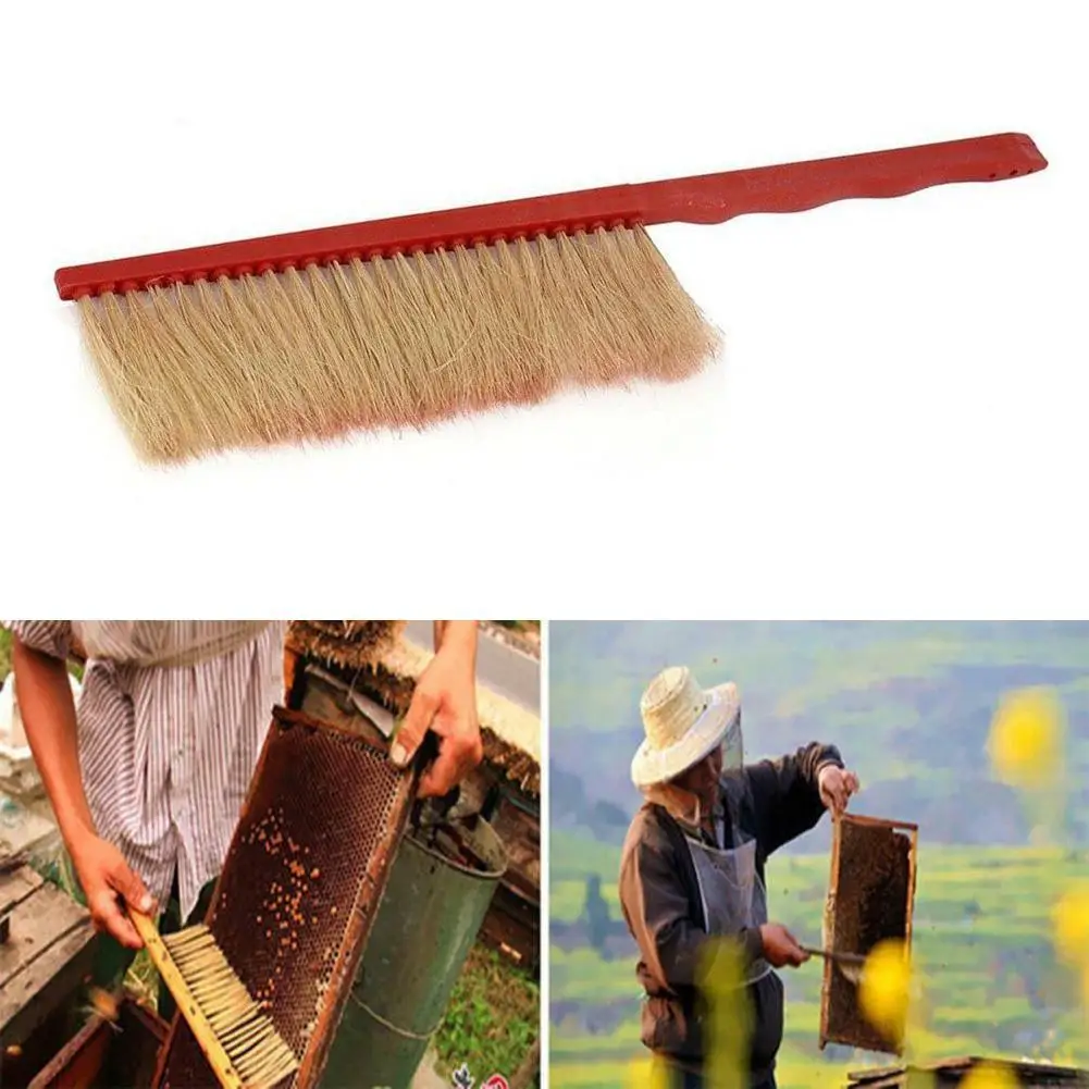 

Beekeeping Tools Red Plastic Sweep Bee Quality Plastic Brush Bee Bee Flicking Bee Row Horsetail Single Brush Horse-Hair R5M4