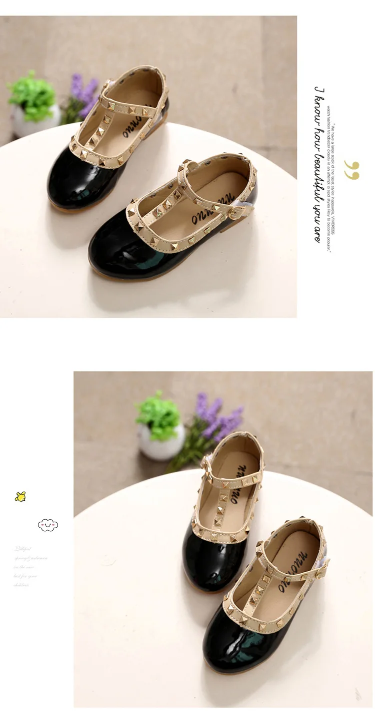 11646544207_2067024571