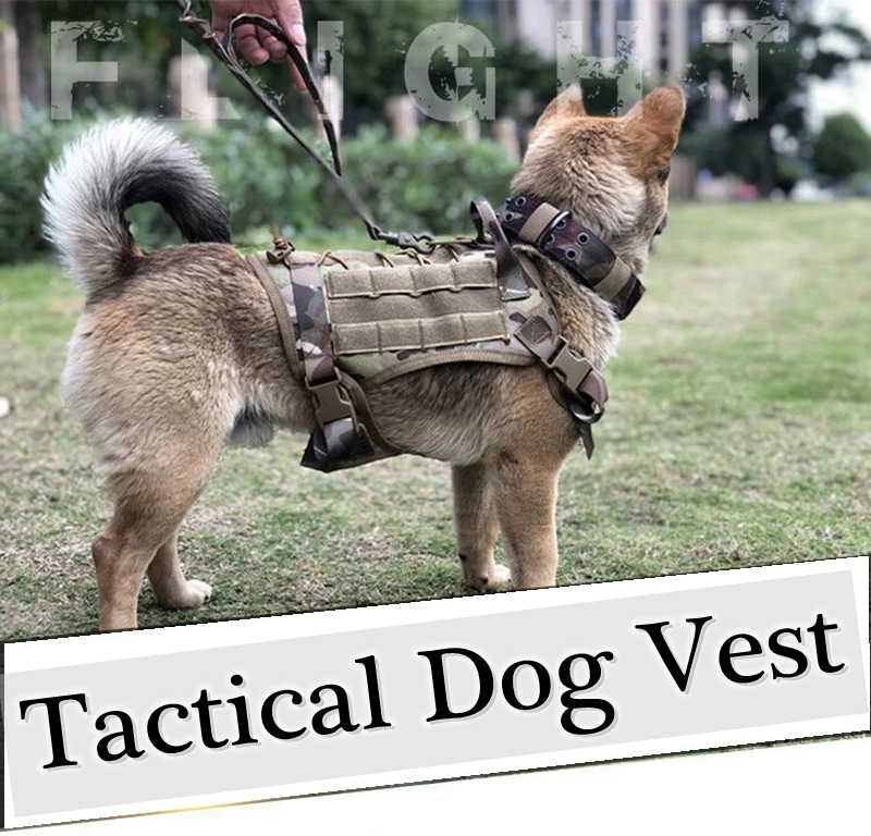 QQ截图20191223151131_副本