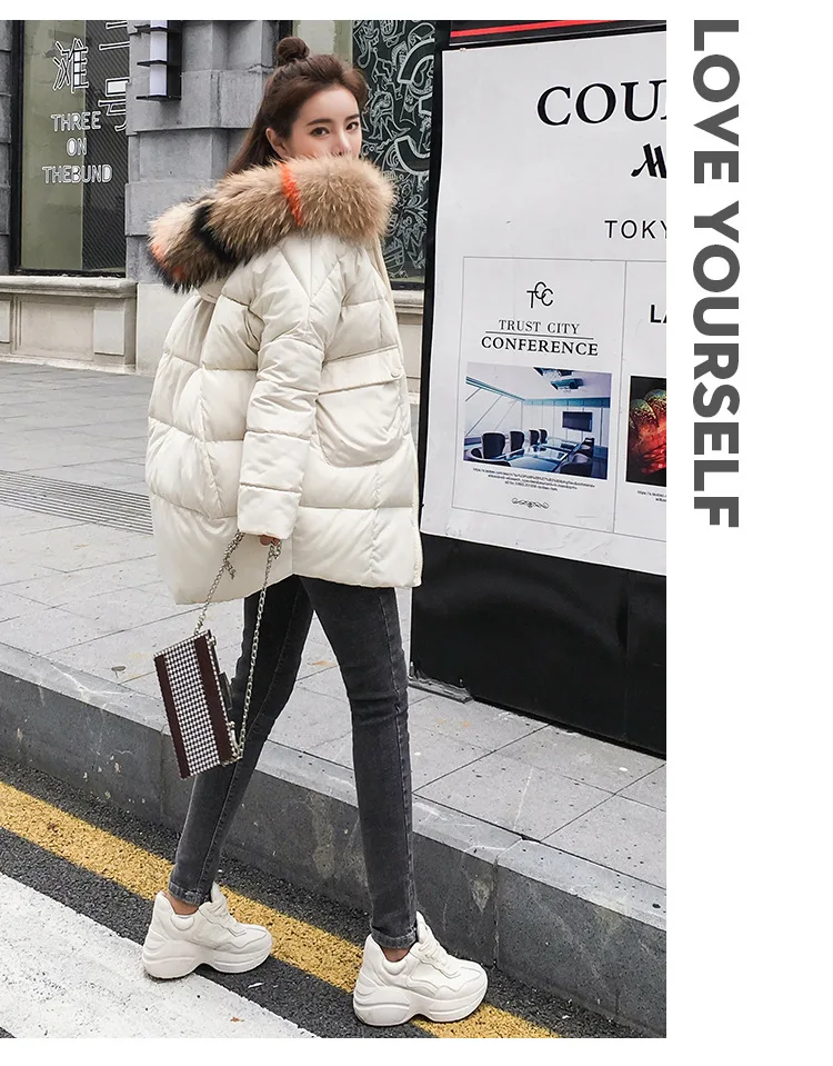 9036728924_1006637240