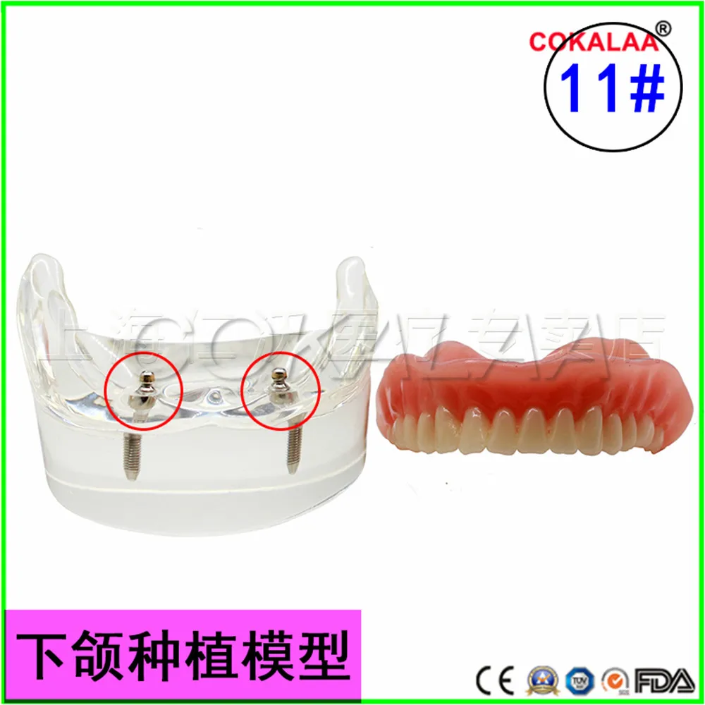 O1CN01mFhxAg2CYB83eUbia_!!44068485