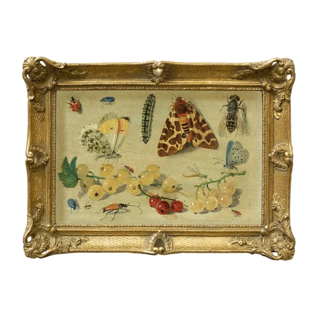 Insect and butterfly decorative painting with French golden embossed frame