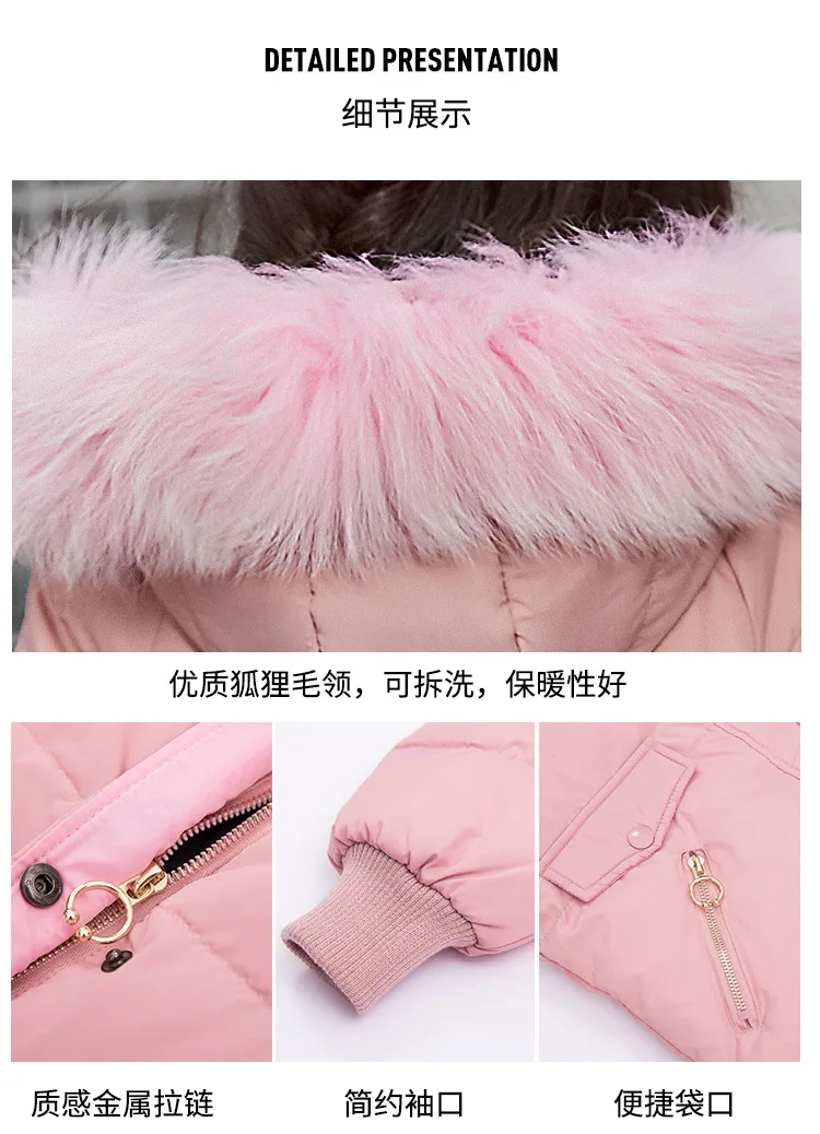 11716358412_2137963351