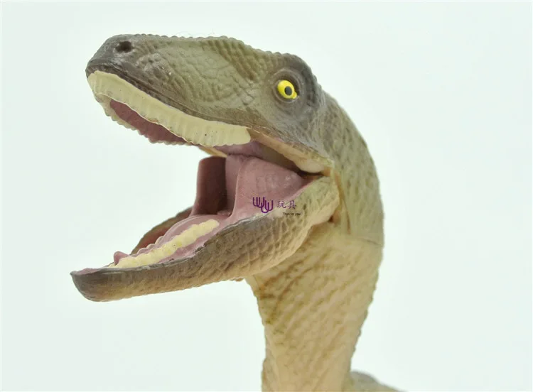 

Model Dinosaur Toy Model Set Brown Athlon (Velociraptors) Solid Plastic Model Tract And Sequence