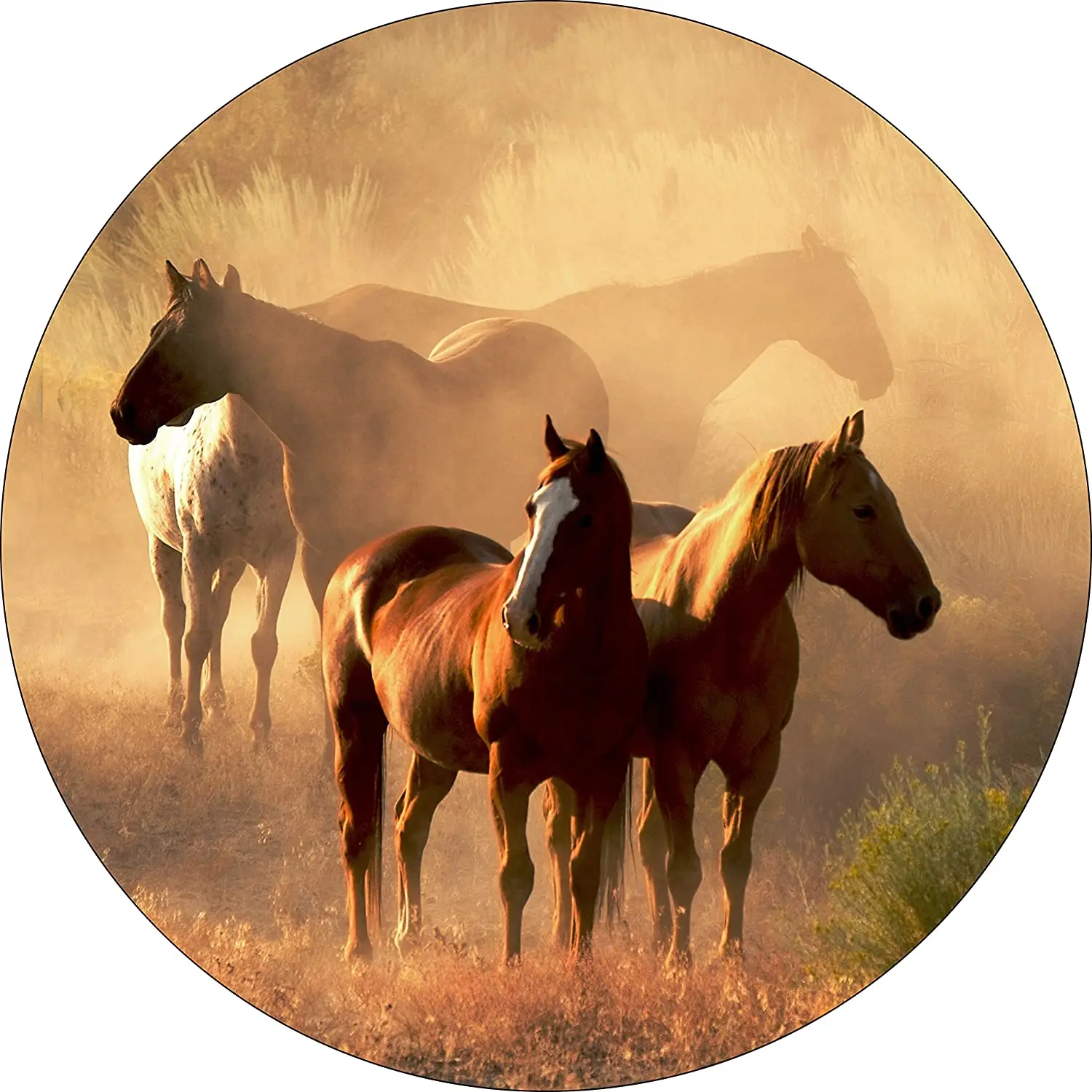 

TIRE COVER CENTRAL Horse Morning Mist Spare tire COVER CAR (Select tire Size/Back up Camera in menu) Custom Sized to Any
