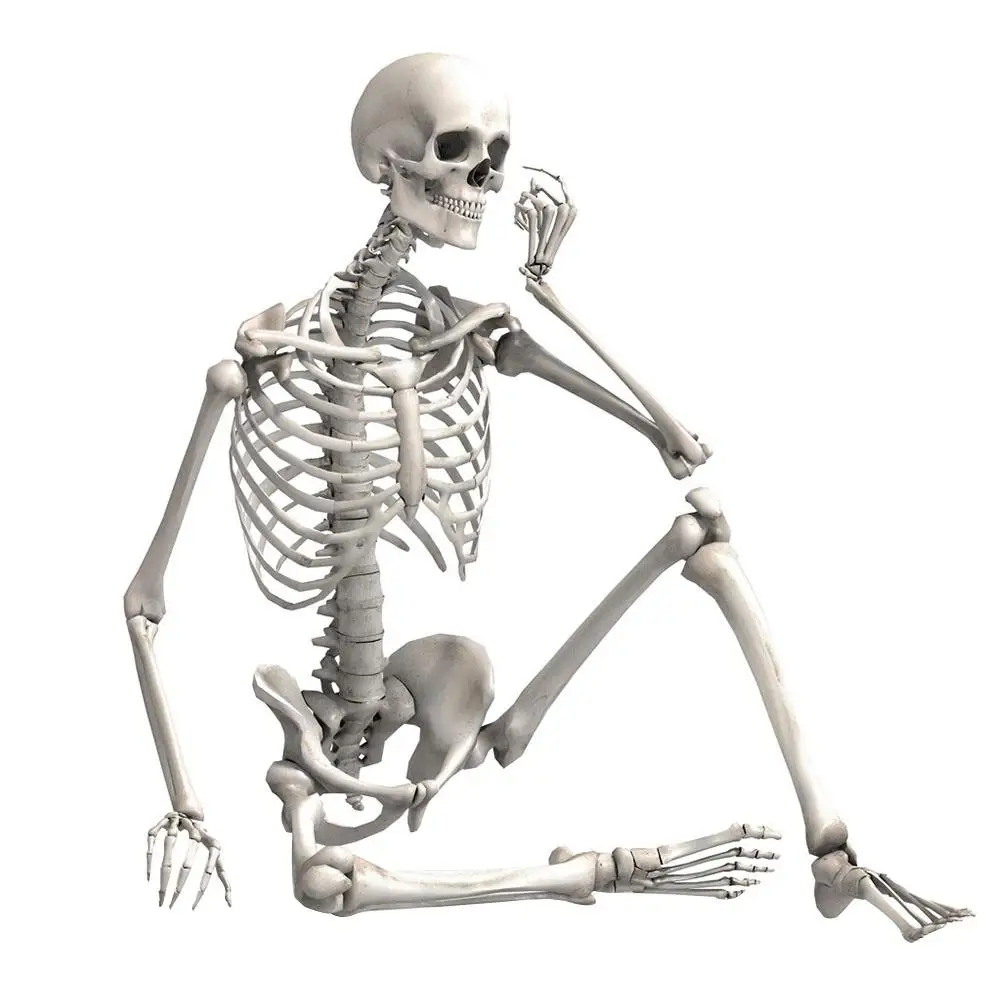 90cm Durable Simulation Humans Skeleton Ornament Halloween Party Bar Haunted House Props Home Decoration halloween decoration | Дом и сад