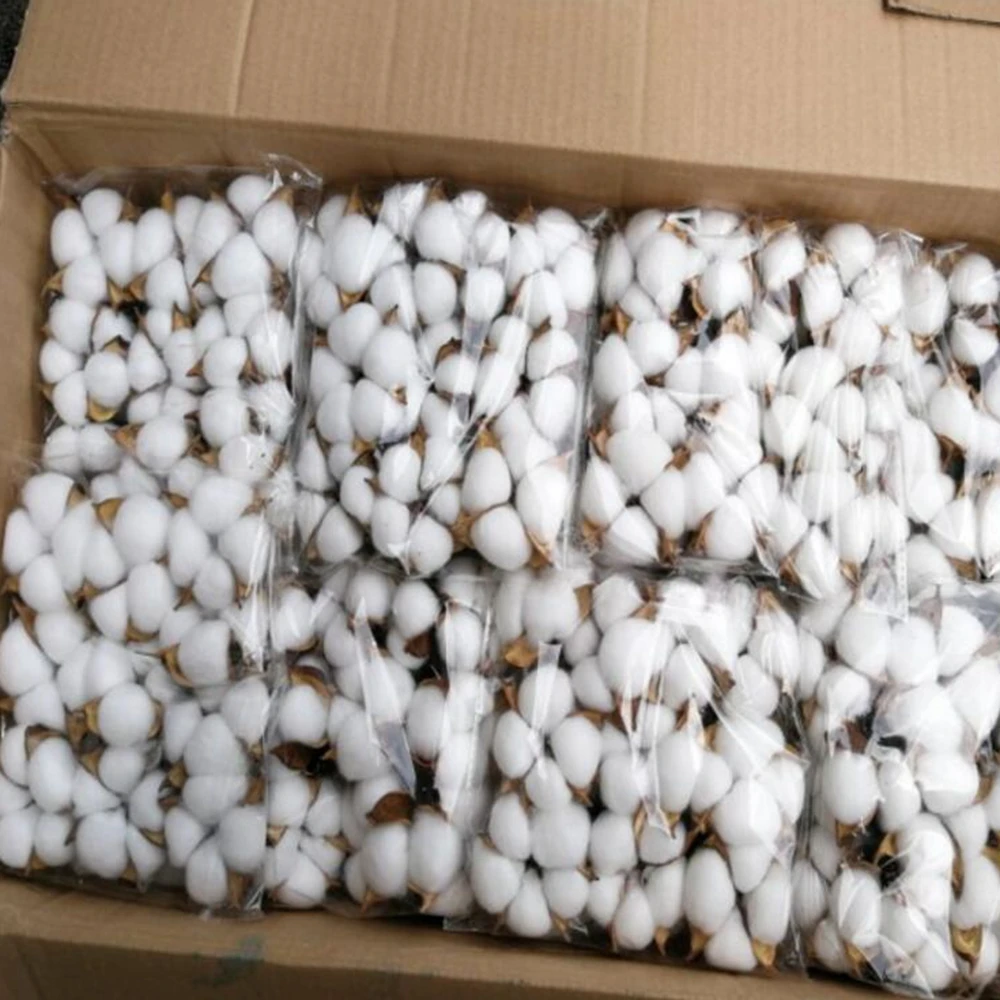 HTB1qIV1XJfvK1RjSspfq6zzXFXau