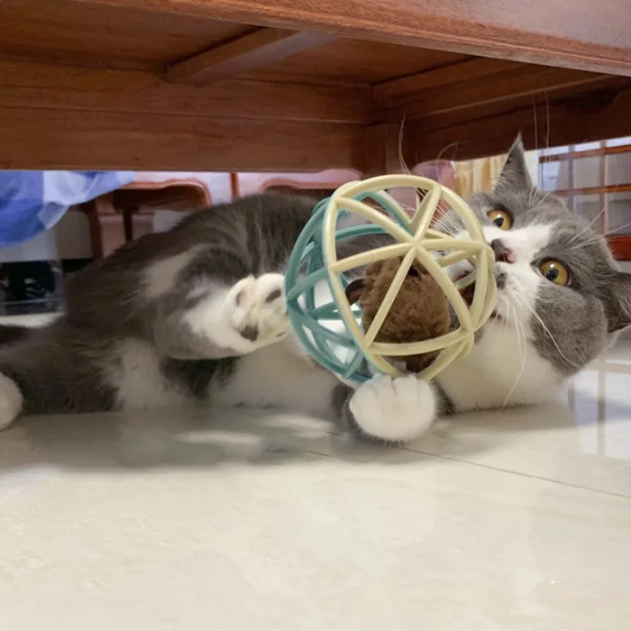 Игрушка для домашних животных мышь ткань мяч для котов игрушки Обучающие товары для домашних животных для собак кошек котенок@ LS