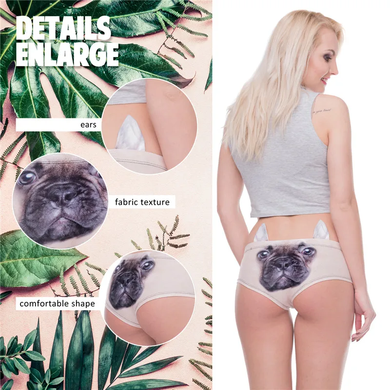 41069 french bulldog (00)