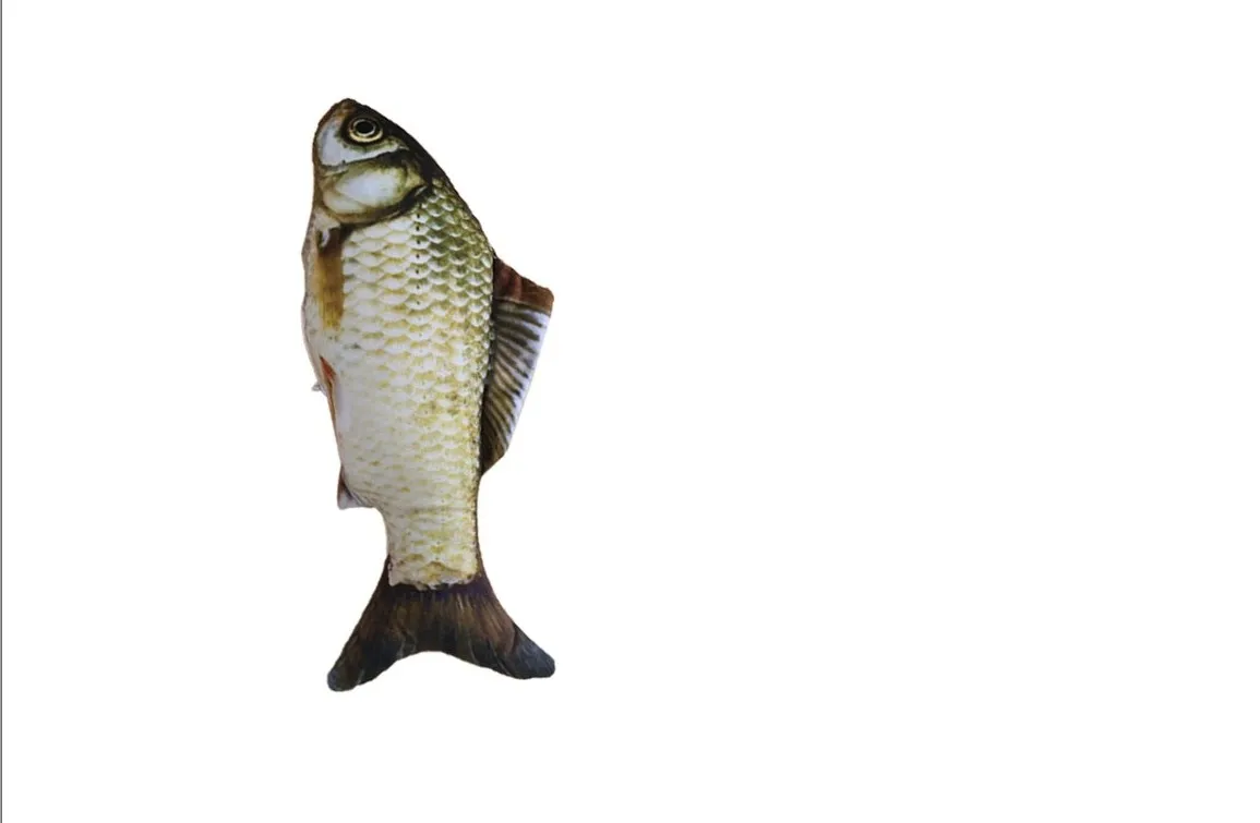 grass carp Игрушка для кошек, рыб, домашних животных, мягкая плюшевая, мягкая, креативная, 3D форма рыбы, мягкая игрушка для кошек, Когтеточка, Когтеточка для домашних животных, товары для домашних животных - Цвет: grass carp