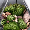 Minimalism Diamond shape Moss Glass Terrarium Black Geometric Glass Solder Terrarium Housing For Plants Home Decoration 5