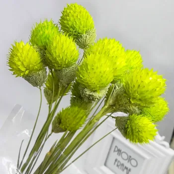 

Wholesale Natural Dried Bouquet Strawberry Fruit be well for long he shang tou DIY Bouquet Flowers Props