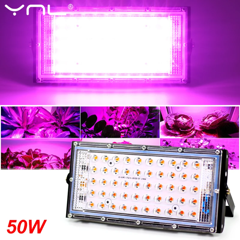 www.aliexpress.com