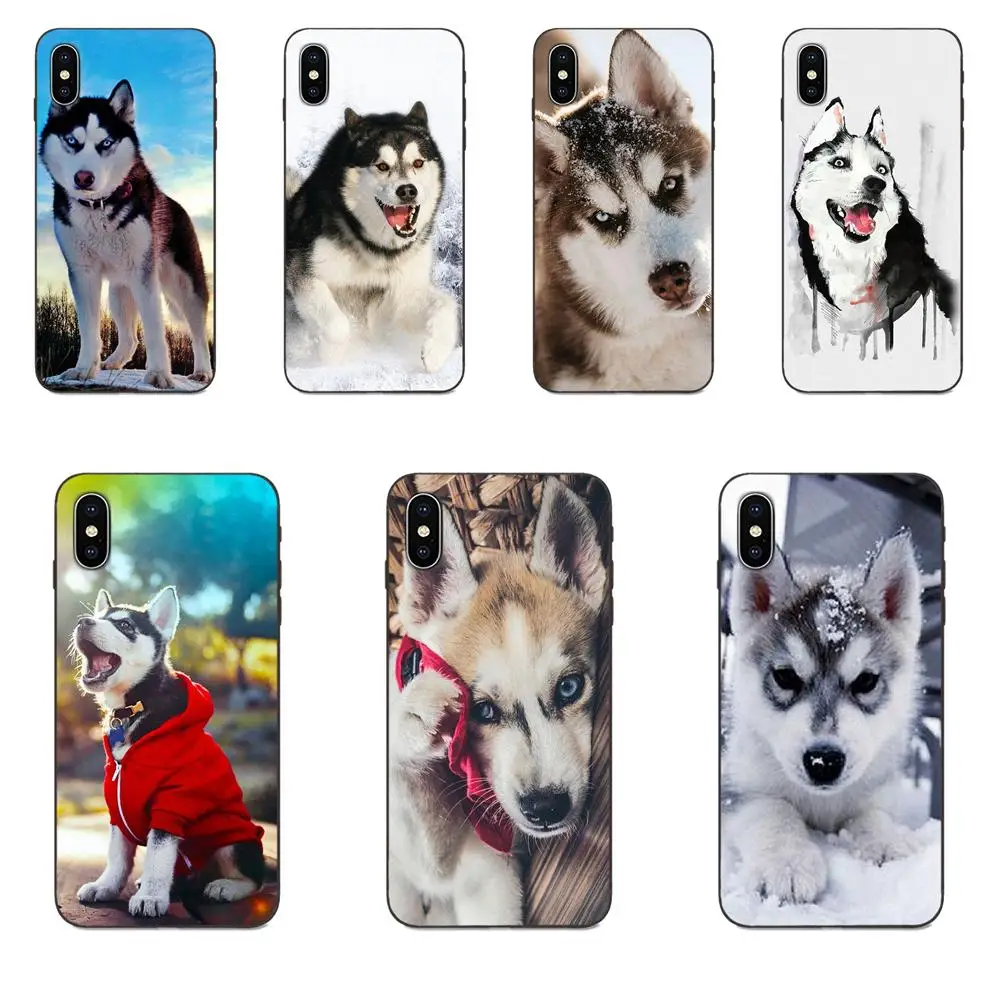 Siberian Husky Dog Puppies Мягкий ТПУ мобильный для Galaxy C5 C7 J1 J2 J3 J330 J5 J6 J7 J730 M20 M30 Ace Core Max Mini Plus