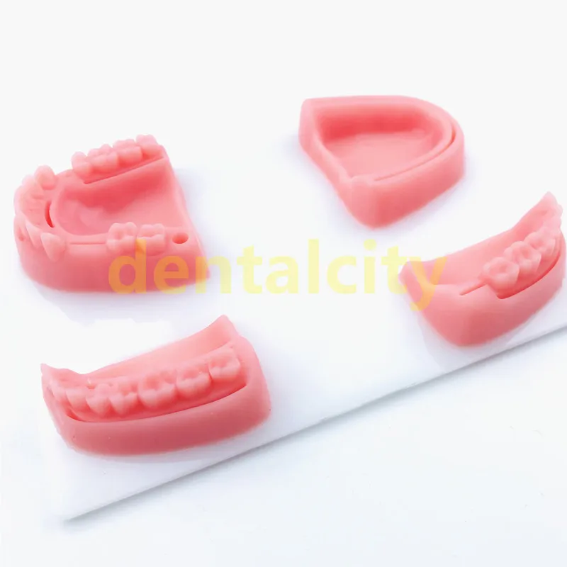 Dental practice kit, Oral model, Swaged needle, Training instrument kit with selica gel for Dental Students oral suture training