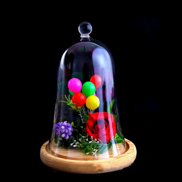 Cloche En Verre Transparent 15X24Cm