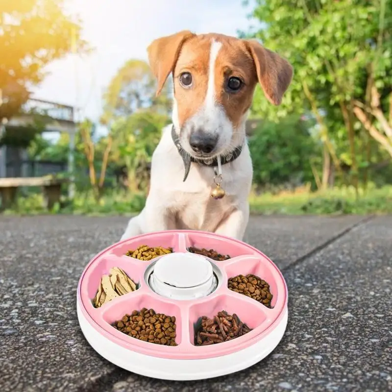 

Timing Automatic Pet Feeder 6 Grids 24 Hour Pre-set Electric Food Dispenser Durable Music Remind Dog Cat Supplies