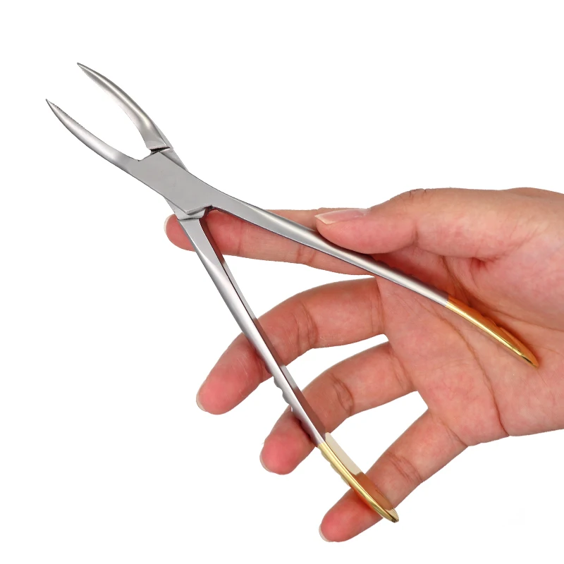 Dental Root Fragment Minimally Invasive Tooth Extraction Forcep Instrument Curved Maxillary Mandibular Universal Plier Tool 5