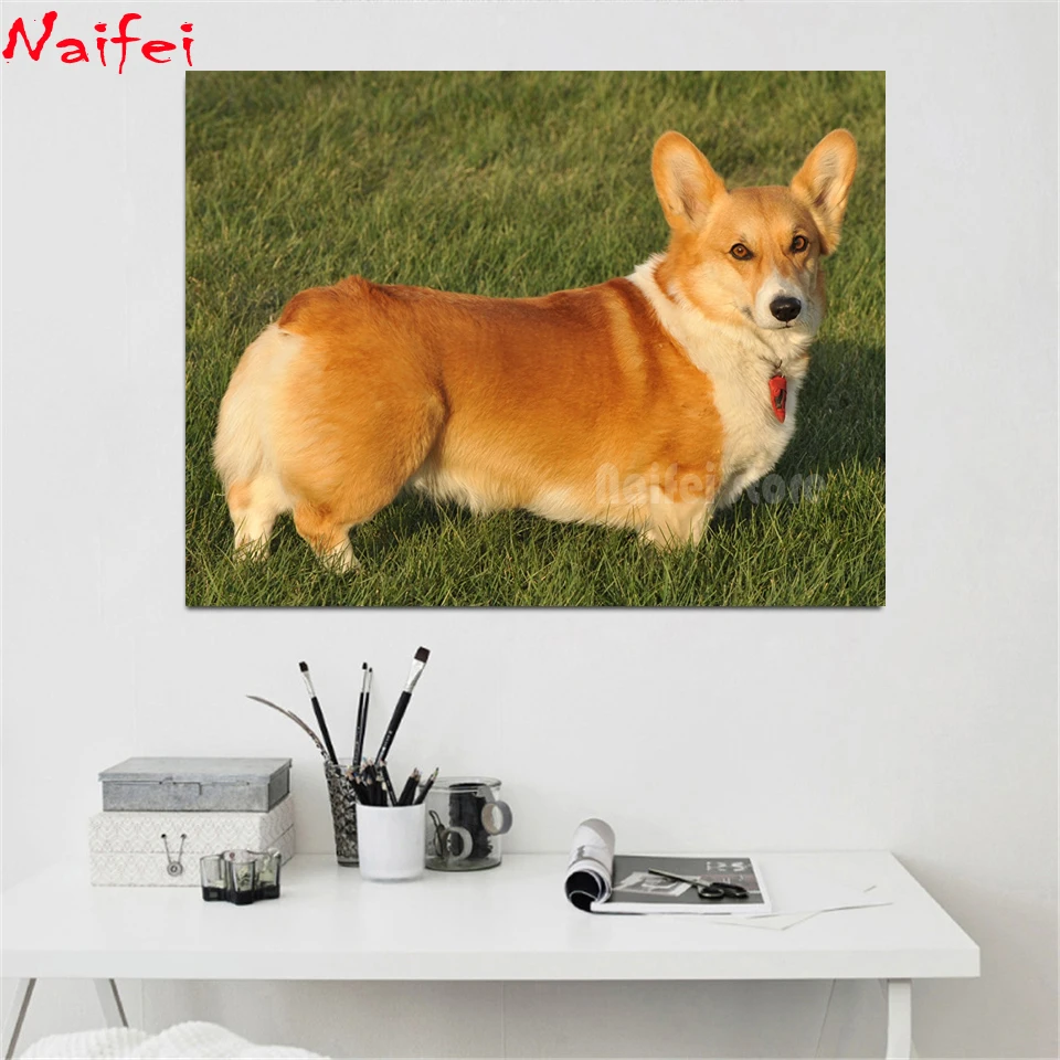 5D Diamond Painting Corgi in the Grass Kit