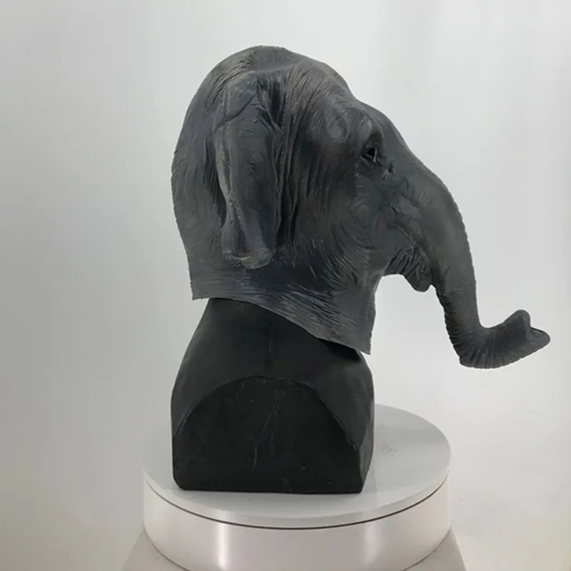 long nose elephant2