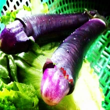 100 шт пенис Баклажан плантас, редкие овощи и фрукты флореслинг, самые смешные баклажаны бонсай растения Планте для дома и garde