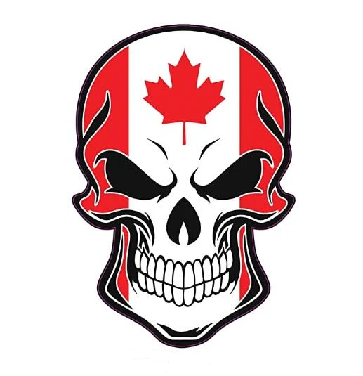 

DAWASARU Interesting Decal Skull Vinyl Decal Bumper Sticker / Cover Scratch / Decoration Creative Car Sticker Custom 14 * 10cm
