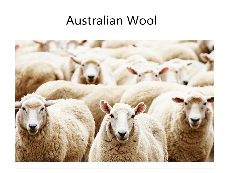 11662150094_1277216986