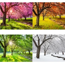 

DIY 5D Diamond Painting Four Seasons Landscape Tree Cross Ctitch Full Square Round Drill Diamond Embroidery Painting Home Decor