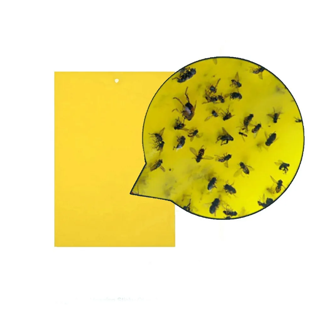 21 шт. сильные мухи ловушки жуки липкая доска ловить Aphid средство от насекомых борьбы с вредителями белизна Thrip листовой клеевой стикер FD