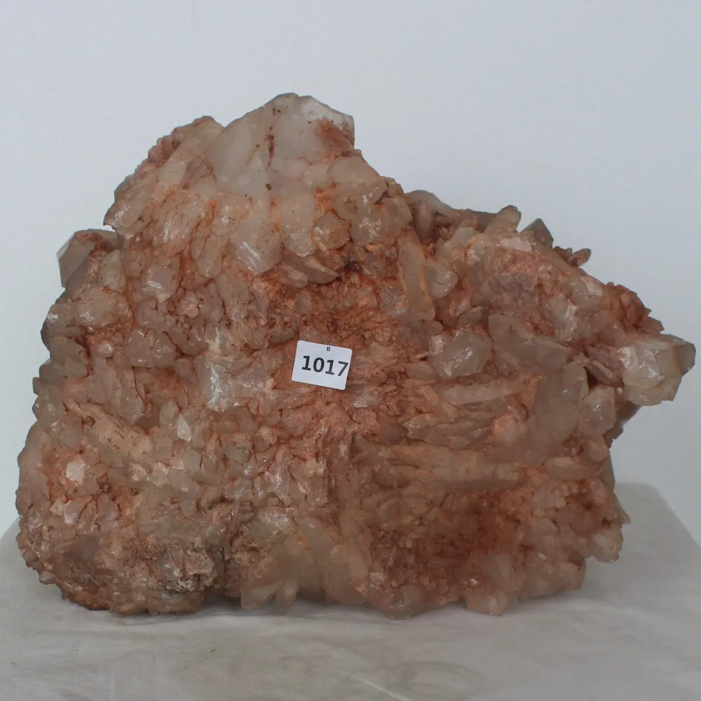 B1017k