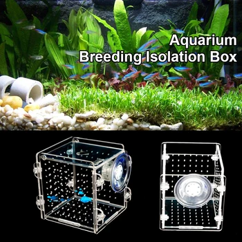 

Acrylic Breeding Isolation Box Bowls Hatchery Room Baby Fish Aquarium Fish Tank with Sucker Suction Cup Incubator Cage Reptile